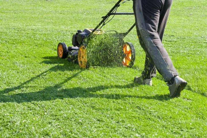 La garantie d'un espace vert unique et bien entretenu